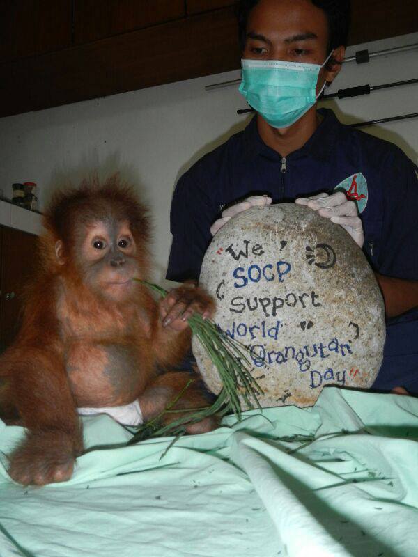 Children's drawing classes