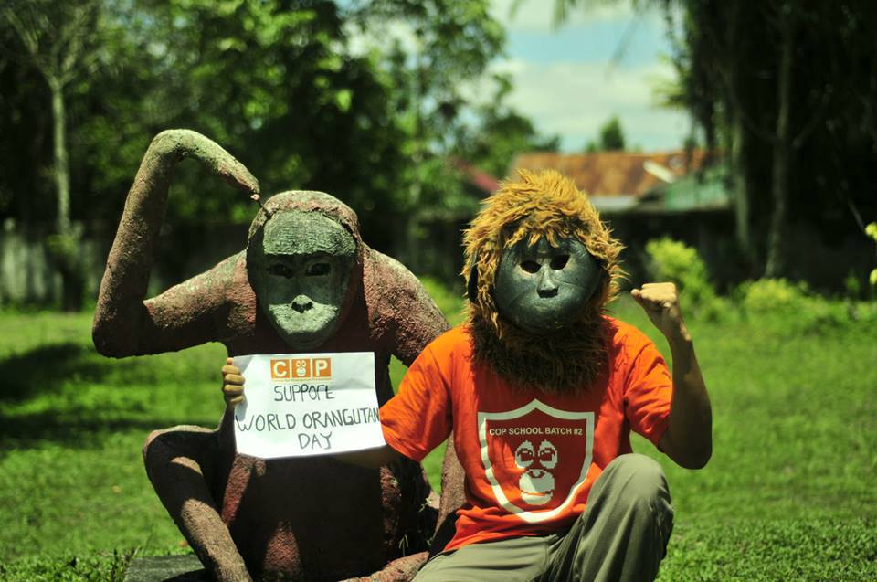 Sumatran Orangutan Education Consortium